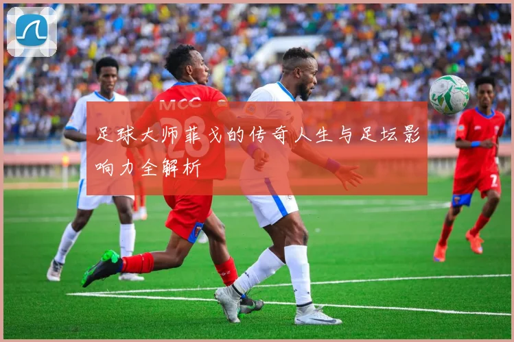 足球大师菲戈的传奇人生与足坛影响力全解析