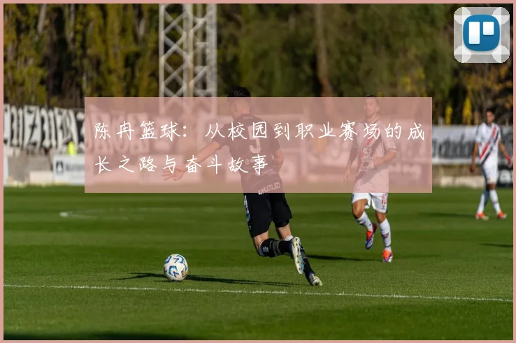 陈冉篮球：从校园到职业赛场的成长之路与奋斗故事